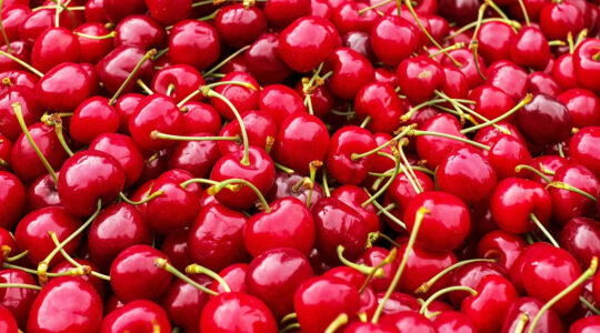 bouillotte aux noyaux de cerise