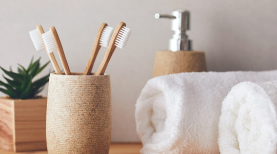 brosse à dents