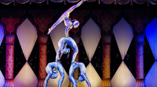 contorsion