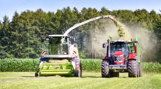 ensilage