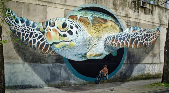 grafitti