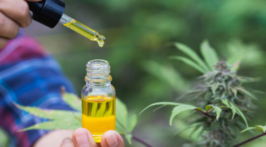 CBD