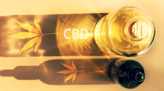 huiles CBD