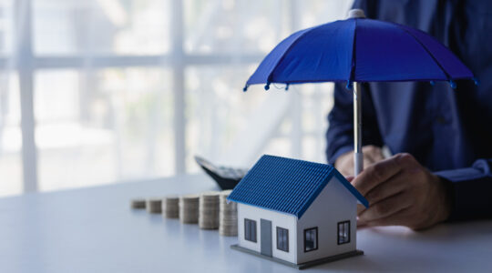 investissement immobilier